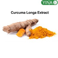 Curcuma Longa ekstrè