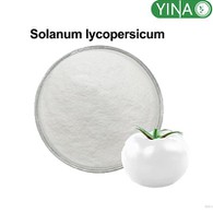 Solanum Lycopersicum